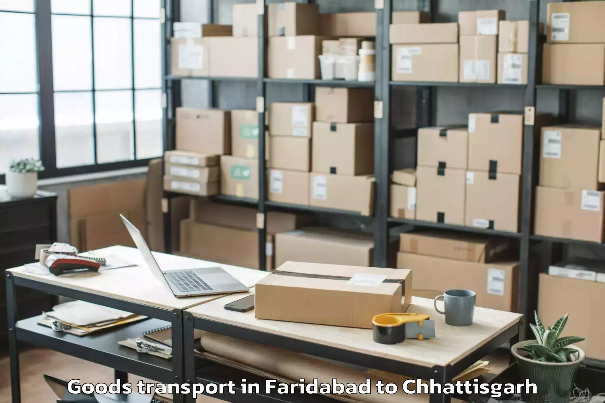 Professional Faridabad to Op Jindal University Raigarh Goods Transport